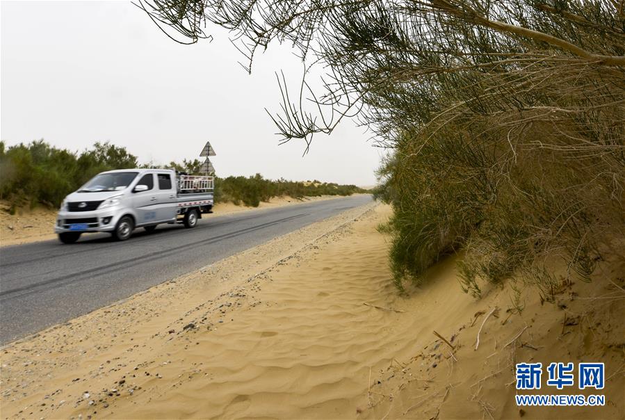 （壯闊東方潮 奮進(jìn)新時(shí)代——慶祝改革開(kāi)放40年）（3）公路在“死亡之海”里延伸